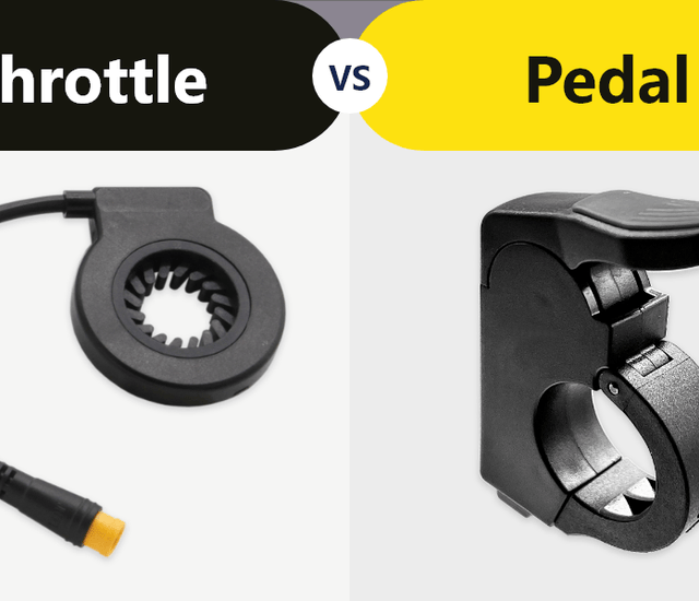 THROTTLE & PEDAL ASSIST Which One is Best? eSoulbike
